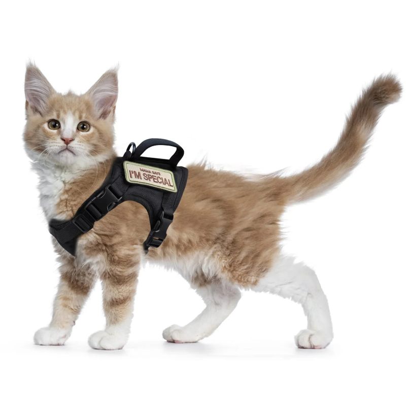 Cat tactical vest harness hotsell