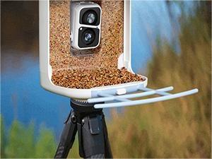 ThreePigeons™ Smart Bird Feeder with Camera Solar Powered