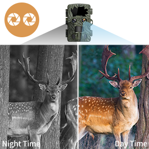 ThreePigeons™ Wildlife Camera Dual Cameras 4K 32MP Extraction Distance up to 25 m