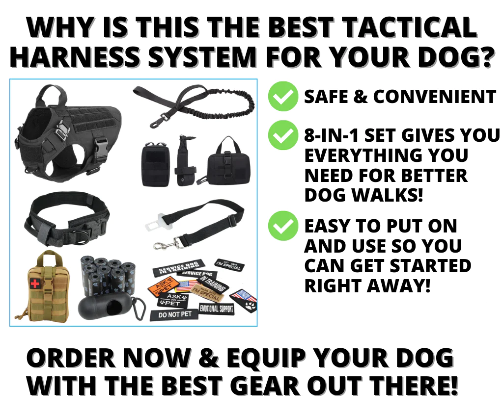 ThreePigeons™ NEW 10-In-1 Tactical Harness System