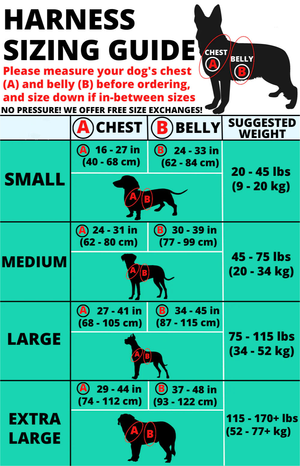 ThreePigeons™ NEW 10-In-1 Tactical Harness System