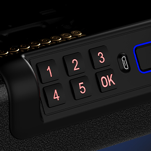 Biometric Gun Safe for Pistol 3-Ways unlock Safe